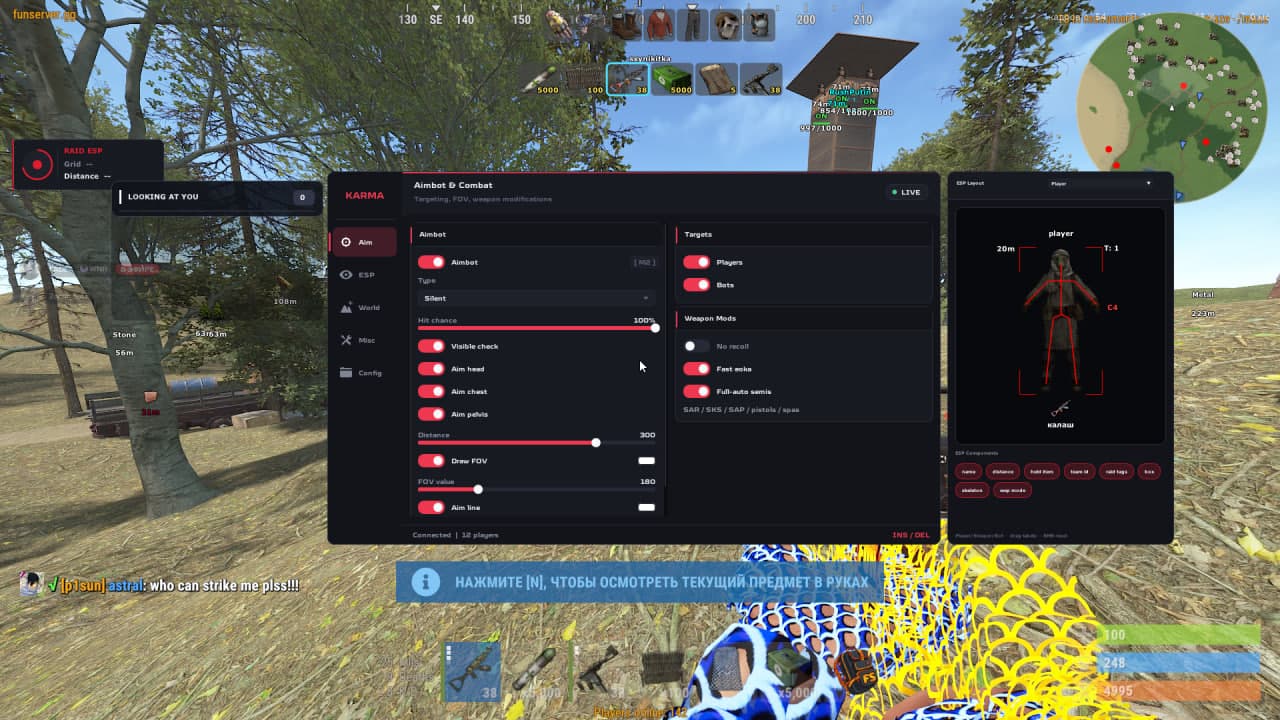 Karma Rust External — скриншот работы софта