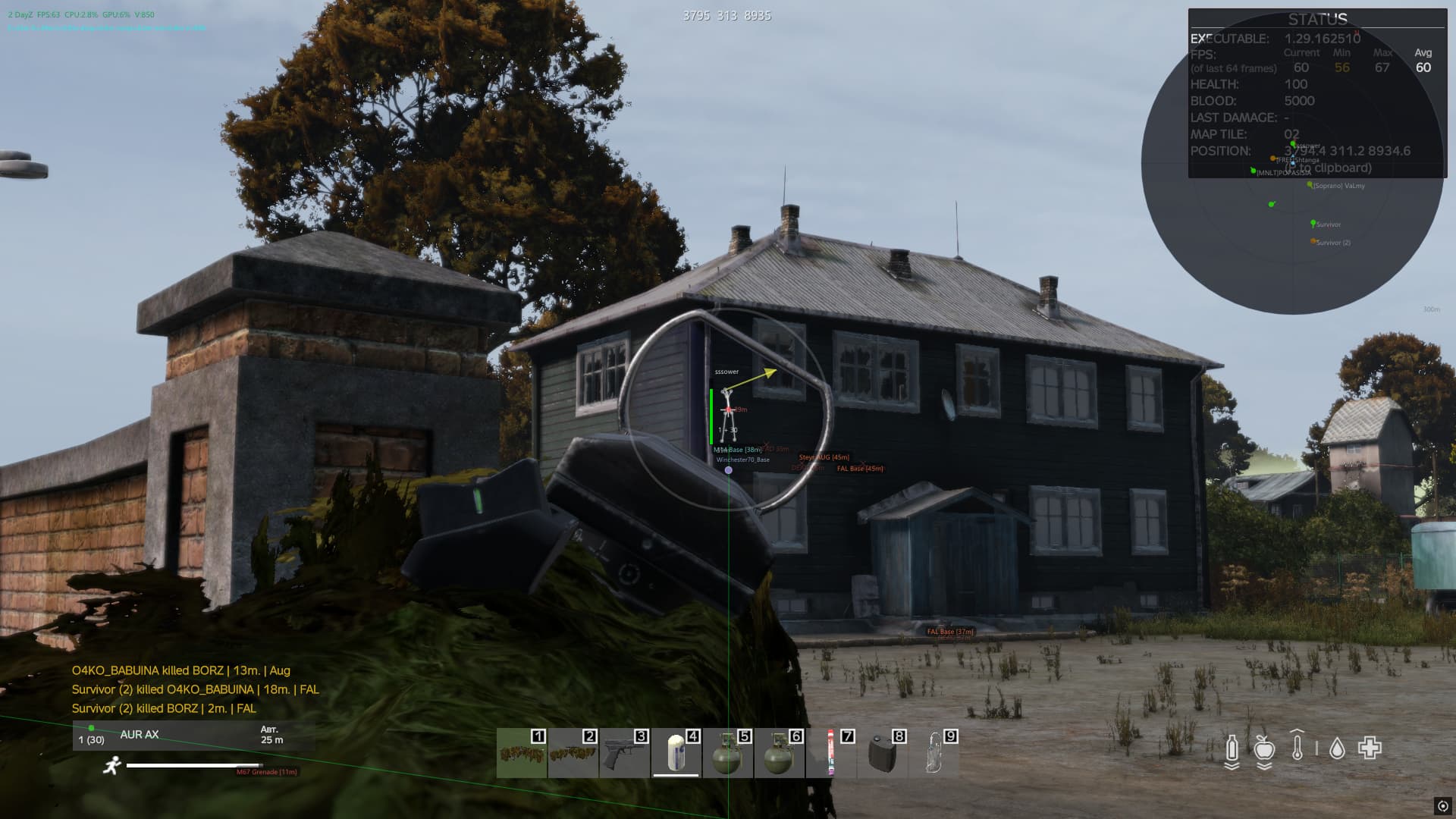 NN DayZ — скриншот работы софта